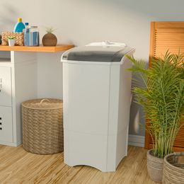 Tanquinho de Lavar Roupa 10Kg Britânia Semiautomático BLR03 - Outlet